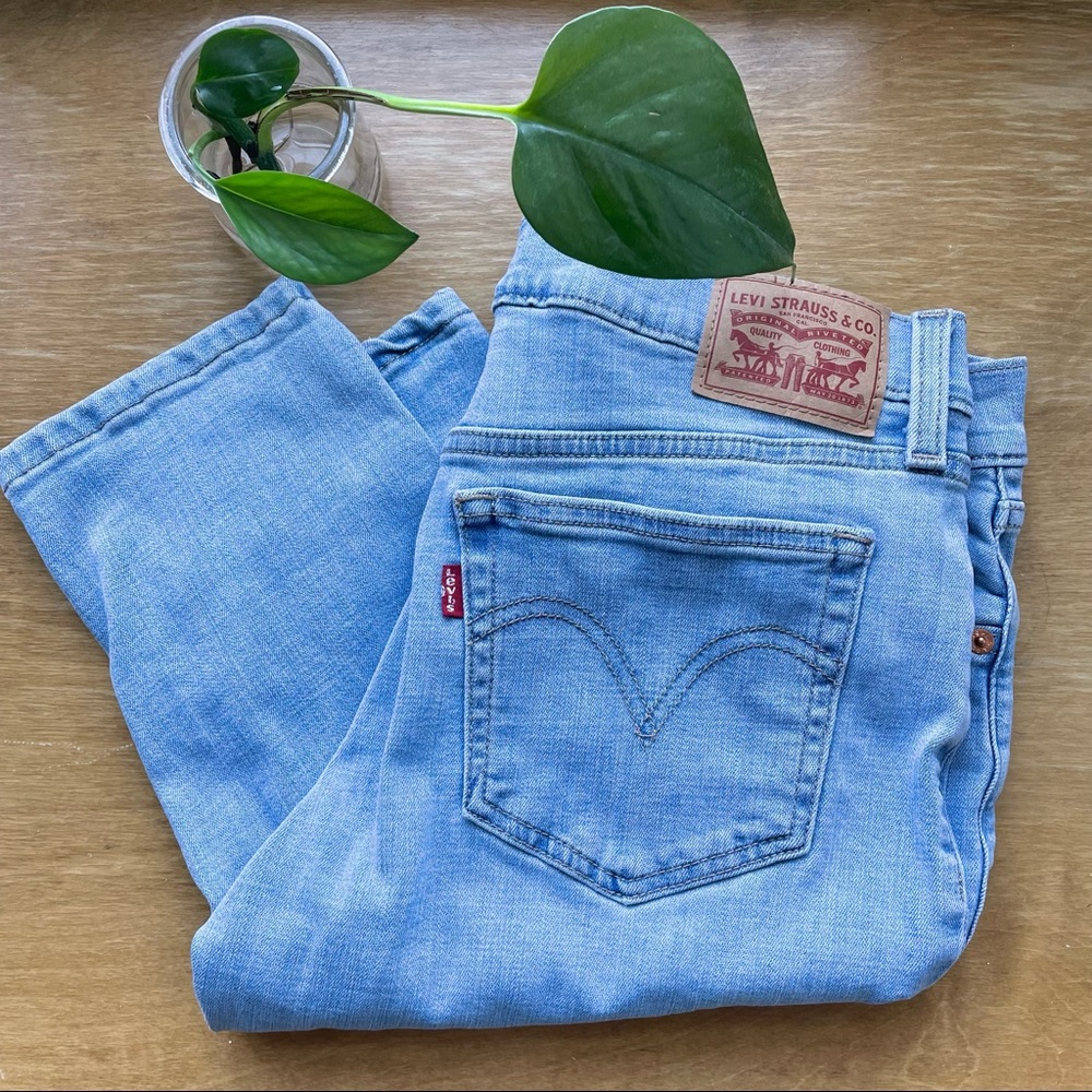 Levi’s Boyfriend jeans: Light wash 27. Excellent condition!
